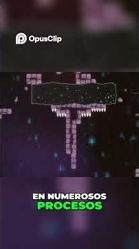 THC Qué es y sus efectos en tu cuerpo