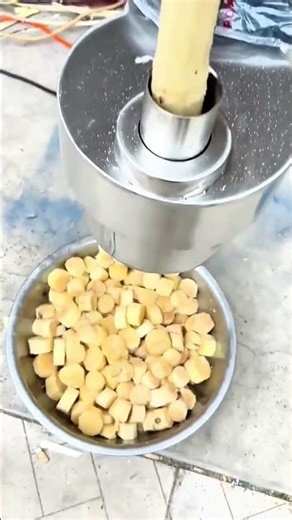 The Process of Cutting Ginger Using an Automatic Cutting Machine #shorts