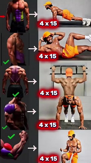 Top Upper Body Exercises You Can Do at Home