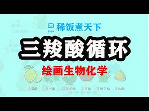 【绘画生物化学】三羧酸循环