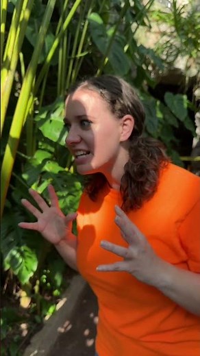 Exploring the Home of Over 1,500 BUTTERFLIES!