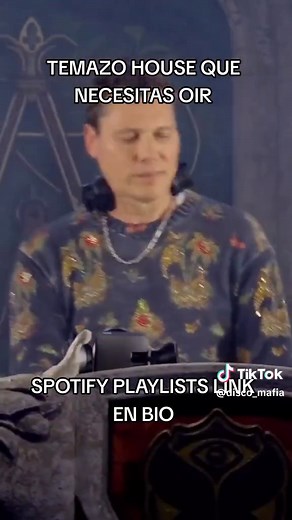 Spotify playlists link en Bio #tiesto #argy #aria #melodictechno #techno #housemusic #parati #foryou #dj