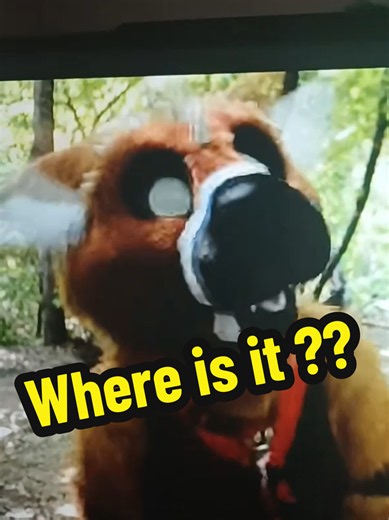 Telephone asking where the pretty bird is, #dutchangeldragon #fursuit #furrytiktok #furryfandom #furrycommunity
