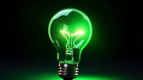 Green Light Bulb Animation in Ecology Concept Stock Footage - Video of bulb, idea: 362422336