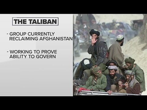 What are the differences between terrorist groups in Afghanistan?