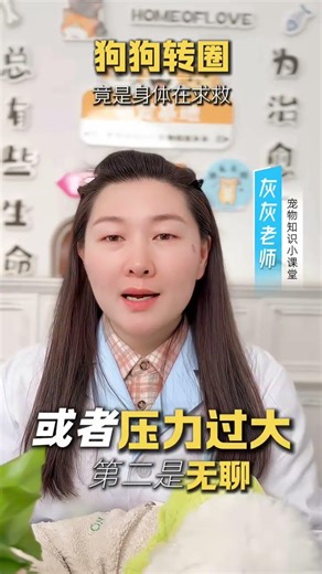 The Mysterious Tail-Chasing Dilemma: Unveiling the Truth