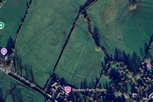 Northamptonshire village in shock after five sheep mauled to death in vicious dog attack – police appeal for witnesses