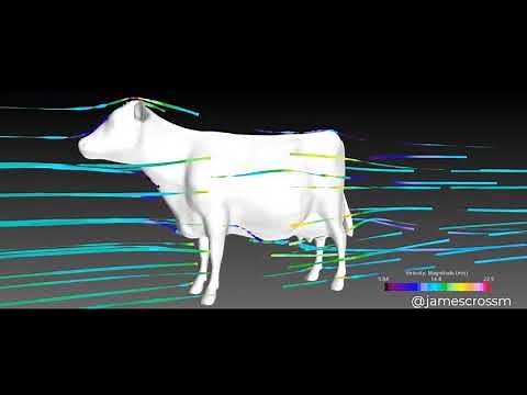 Aerodinámica de una vaca utilizando CFD