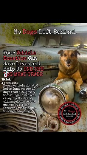 YOUR OLD CAR can SAVE LIVES! By donating your old car, truck, or motorcycle, you can become a lifeline for No Dogs Left Behind to rescue dogs facing slaughter in East Asia. Your simple act provides: 🆘 Rescue from the East Asian dog meat trade 🏥 Urgent Medical Care 🍲 Food & Safe Shelter 🏡 The Path to a Forever Home It’s a simple act with a powerful, life-changing impact. ➡️ Donating is easy and supports No Dogs Left Behind. GET STARTED NOW (link in bio) 🌐 Visit the NDLB Vehicle Donation Page