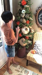 281K views · 3.2K reactions | A quick tip I’m using for fall decorating. | The Shabby Tree | Facebook