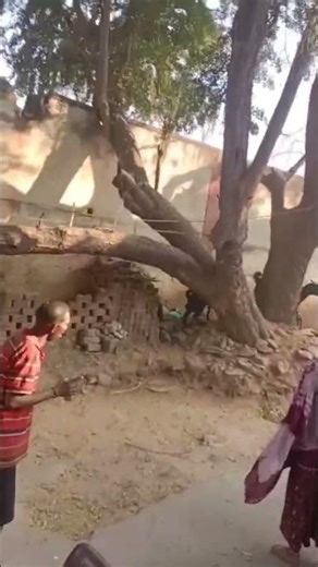 Jhabua Swing Colleps: झाबुआ में ओवरलोडेड ड्रैगन झूला गिरा, छात्राएं हुई घायल #jhabua #adivasi #mela