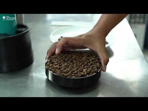 Tutorial Menggunakan Coffee Roast Analyzer