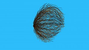 Tumbleweed Rolls Side Side On Blue Stock Footage Video (100% Royalty-free) 1108894013 | Shutterstock