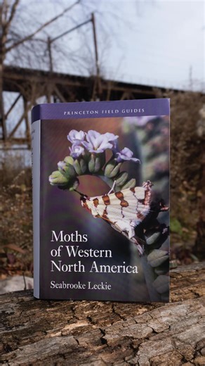 Moths of Western North America by Seabrooke Leckie is the first photographic field guide to present the moths of western North America as they are found in nature, making it easy to use for novices and experts alike. Learn more: | Princeton University Press