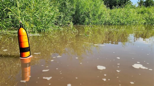 I caught big catfish in a flooded river!