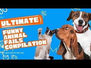 Ultimate funny animal fails compilation YT