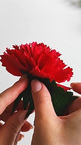DIY Realistic Crepe Paper Carnations | Alesya Gor Diy