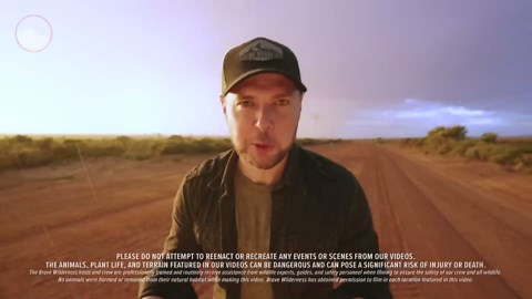 Pink Creature from Down Under! (Rare Turtle Frog)