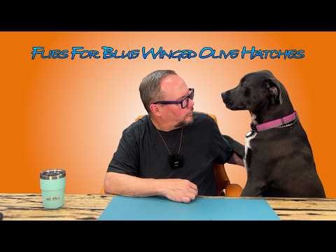 Flies for Blue Winged Olives