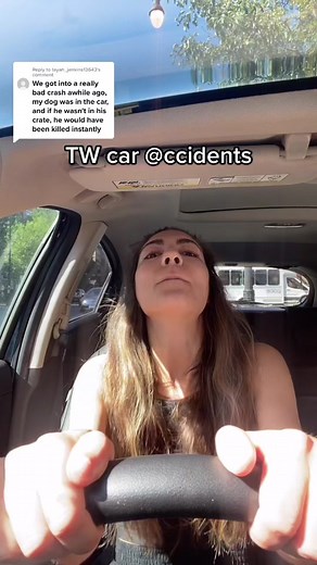 Ensure Car Safety: Restraining Your Dog Correctly