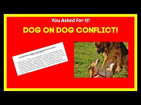 how to stop two dogs from fighting in the same household. FIVE TIPS