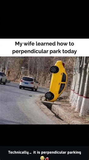 perpendicular parking😅 #meme #shorts