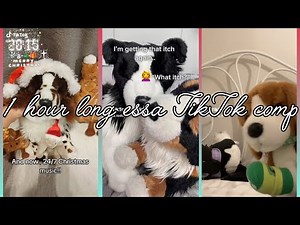 1+ hour long essa TikTok comp | none are mine | credits to original owners | thanks for almost 1k!