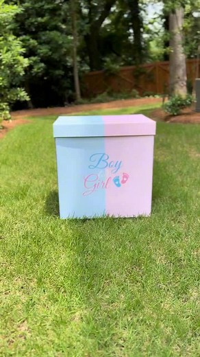 Make your gender reveal party unforgettable with our giant Gender Reveal Box!