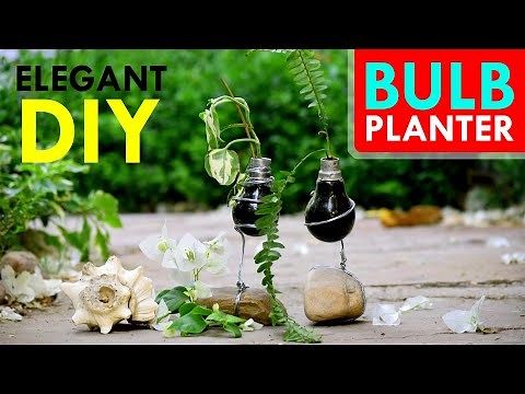Make this Brilliant DIY Bulb Planter in No Time