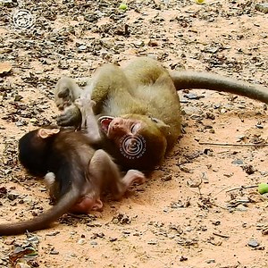 124K views · 2.6K reactions | Loud Crying of a New Baby, breaking Cos Angry His Mother Anna Was Drinking His Milk | Monkey Mono | Facebook