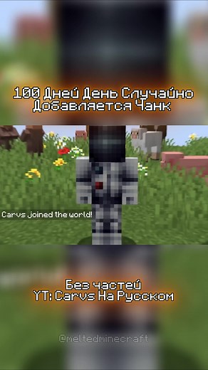 100 jours Ajouté par hasard Chunk #minecraft #minecrafthardcore #jeux | minecraft