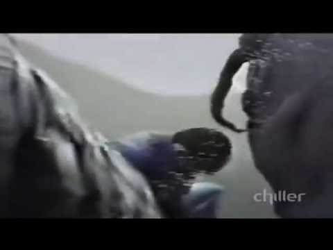 World's Most Amazing Videos: Elephant Sits On Man's Head