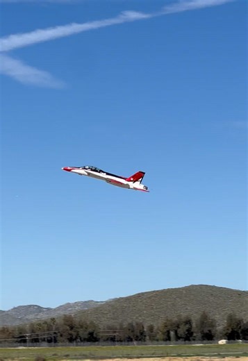 BVM F-18 RC Plane 4K Footage