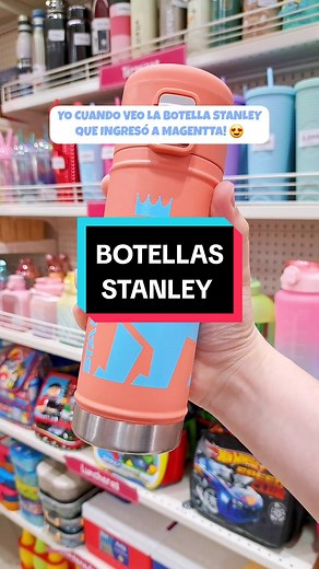 Botella Térmica Flowsteady de STANLEY - 500 ml