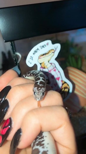 Lydia Fenwick on TikTok