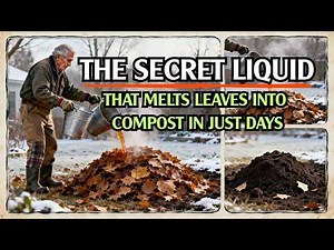 The Secret Liquid That Breaks Down Leaves Into Compost in Just Days!
