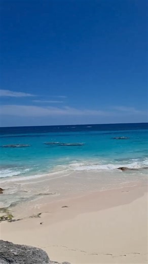 8.9K views · 451 reactions | Pool day and beachside Bermuda views, anyone? ☀️ Whether you’re looking for a reclusive resort or a boutique hotel, you’ll find a home-away-from-home that will suit your style in Bermuda. Tag your sun-bathing buddy and book your island vacay now: https://bit.ly/3QfjZef  IG: cocoreefbermuda | #GoToBermuda #LostYetFound | Bermuda Tourism | Facebook