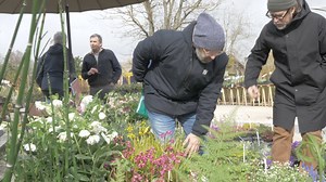 Le plus grand marché aux plantes de l’Ouest ce week-end à Terra Botanica | Angers Info