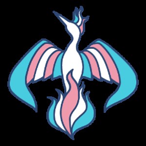 TheTransFormationsProject - Twitch