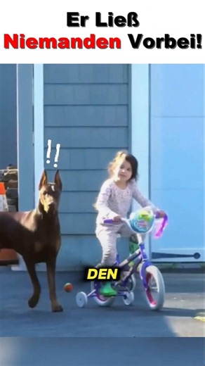 Warum Familien dem Dobermann vertrauen ❤️🐕
