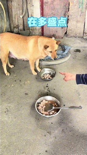 Doudou gets meat soup for her postpartum recovery, full of affection for her mom.#funny #comedy