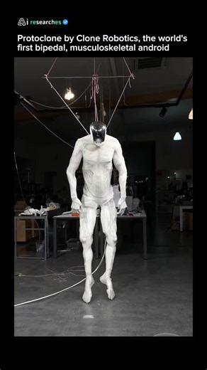 AI researches | AI on Instagram: "This is the future of humanoid robots with synthetic muscles. Protoclone by Clone Robotics: Bipedal Musculoskeletal Android V1 A faceless, anatomically accurate synthetic human with over 200 degrees of freedom, over 1,000 Myofibers muscles, and 500 sensors. What are your thoughts on this? : @clonerobotics If you want to stay ahead of the future—join our free newsletter through the link in bio. #ai #robotics #technology #future"