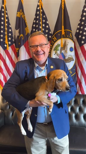 Bagel is a retired rabbit dog up from North Carolina to tell Chuck Schumer to pass the CR and reopen the government! | Congressman Tim Moore