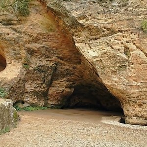 For 25 years, a man has been living alone in a cave with his dog. Take a look inside the cave now. Check top comment below 👇 | Story of Veteran