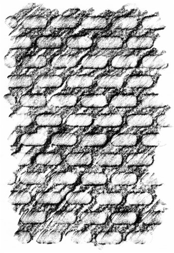 181/365 Bench Texture of Hervey Bay, Queensland, Australia Frottage technique on 150gm2 paper made with pencil Pierre Noir B 1710, Conté à Paris - every surface has a story to tell. #herveybay #frottage #textureoftheworld