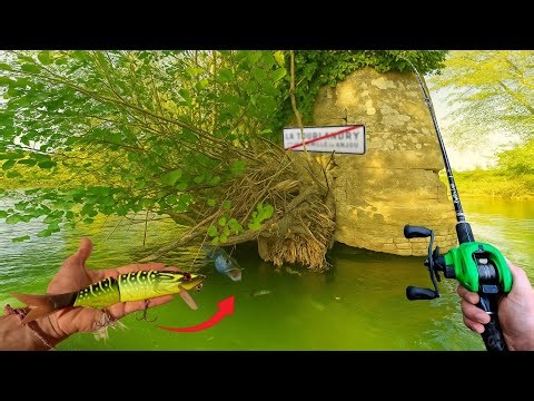 The best pike fishing session of my year?!
