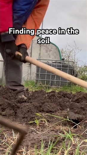 Zimbabwean in the UK 🇿🇼 | Finding My Roots Through Farming 🌱”