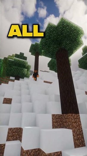 Every Tree Type Seed #minecraftseeds