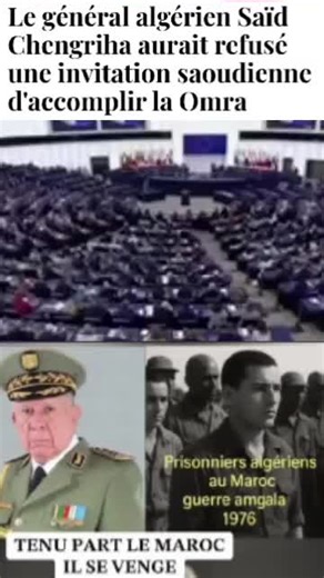 #algerie #TEBOUNE #APS #algerie #popular