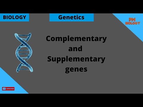 complementary genes and supplementary genes | Genetics | PM Biology